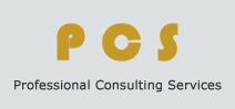 Professional Consulting Services